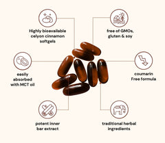 Canela de Ceilán equivalente a 7200 mg con aceite MCT