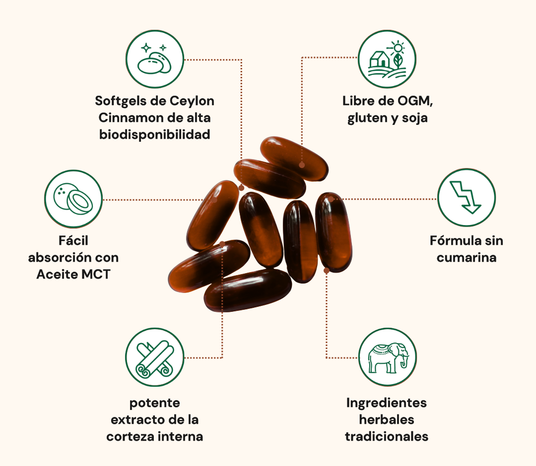 Ceylon Cinnamon equivalente a 7,200 mg con Aceite MCT