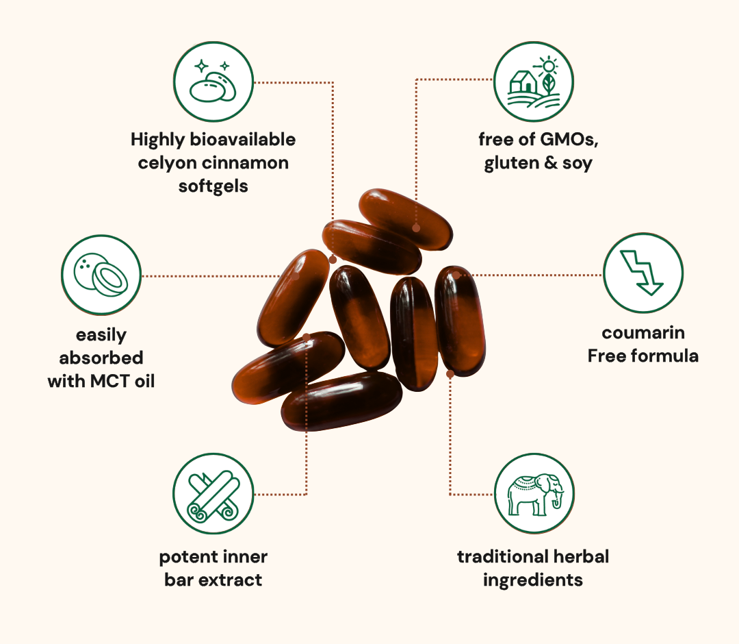 Ceylon Cinnamon 7200mg Equivalent with MCT Oil